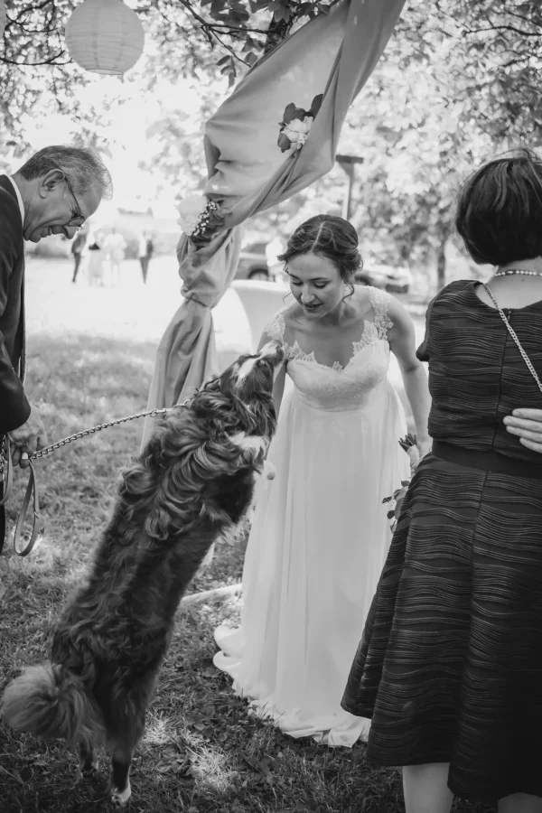 Die Braut beugt sich lachend zu einem aufgeregten Hund, der sie freudig anspringt. Ein herzlicher Moment während der Hochzeitsfeier im Freien, eingerahmt von festlicher Dekoration und Gästen.