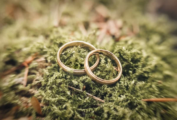 Nahaufnahme von zwei goldenen Eheringen auf weichem Moos – symbolträchtige Hochzeitsfotografie mit natürlicher Ästhetik.