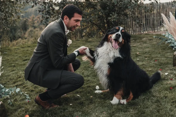 Bräutigam und Hund reichen sich die Hand