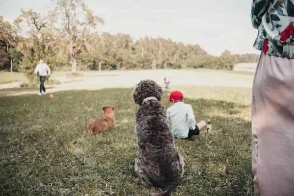 Hunde und Kinder auf der großen Wiese vor dem Lindenhof.